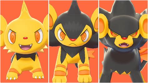 lv evoluzione shinx|shiny shinx evolution.